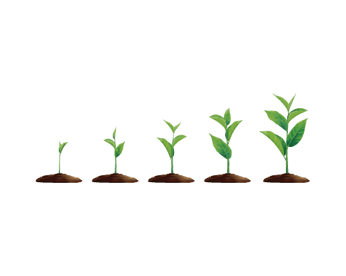 plantitas-02-1
